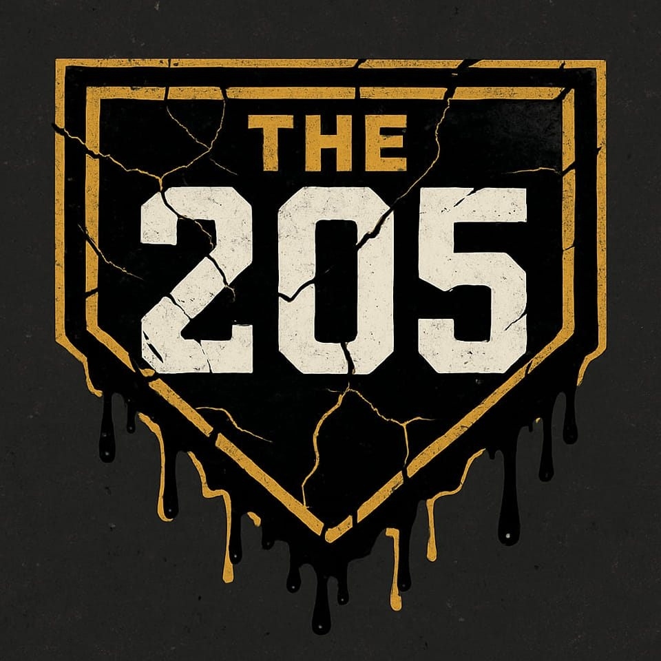 The 205 Baseball logo